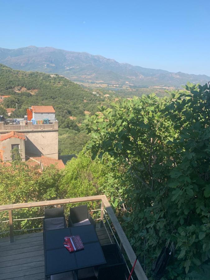 Maison Typique Corse Oletta Kültér fotó